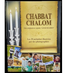 Chabat Chalom  les 39 melakhot illustrées